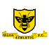 Logo Alloa Athletic