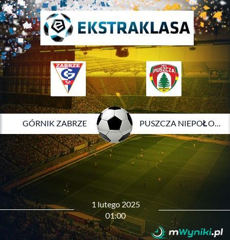 Górnik Zabrze - Puszcza Niepołomice