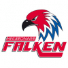 Logo Heilbronner Falken